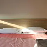 Nicosia Central Suites Apartment *